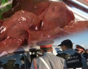 573653878_1261271386019601_7242060427328388316_n