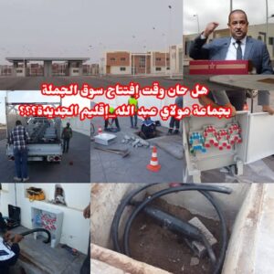 574960671_1629777484809755_8010634990655794528_n