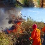 581421083_1275426201293313_1748603034115275379_n