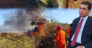 581421083_1275426201293313_1748603034115275379_n