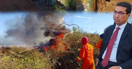 581421083_1275426201293313_1748603034115275379_n