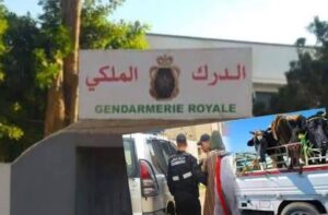 FB_IMG_1763237613704