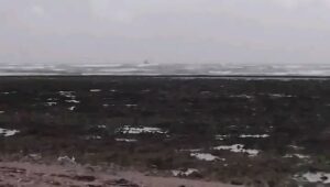 600289100_1397096681801337_2354248800512379640_n