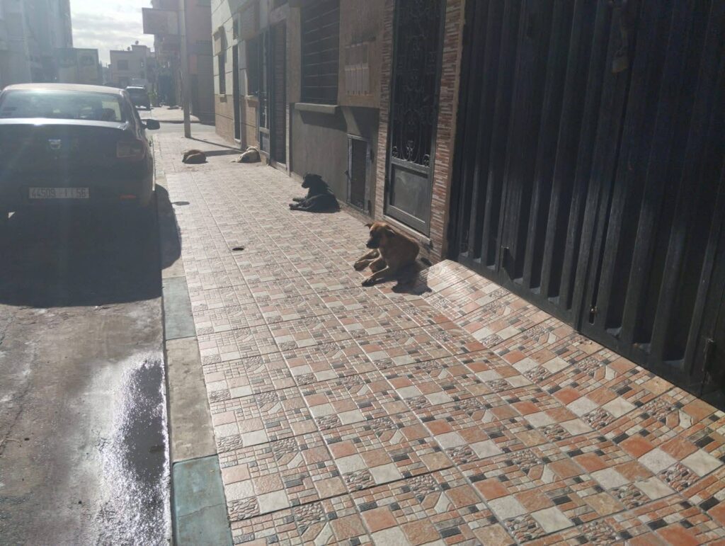 600322639_1669353490852154_2739488193817541447_n