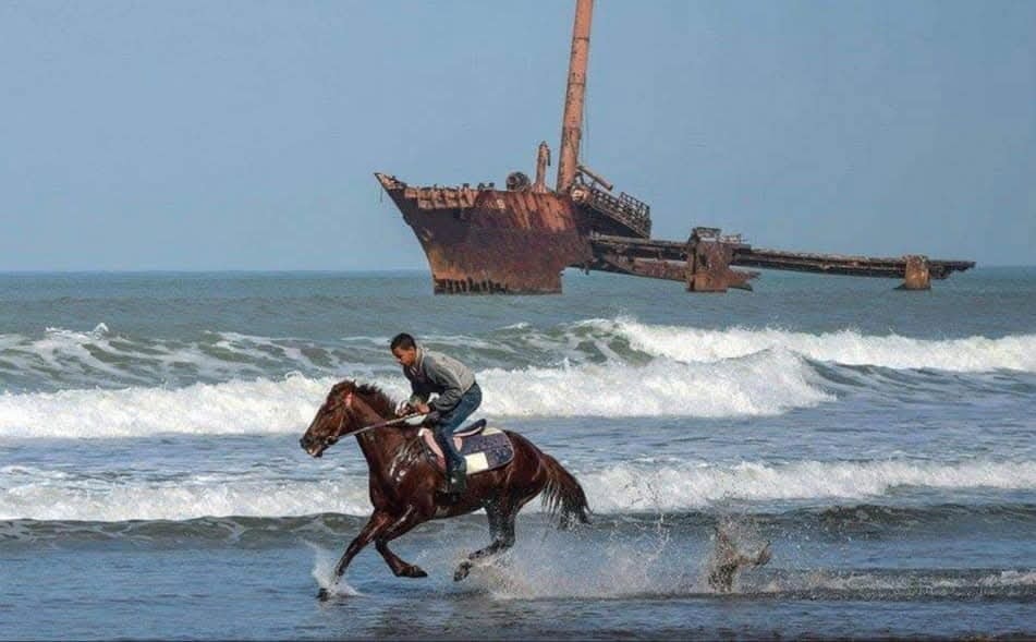 602381783_1358190776351645_1170467212006863202_n