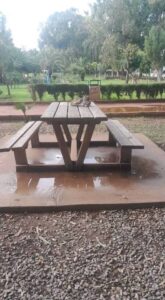 603845602_1400431678134504_6548684862120278498_n