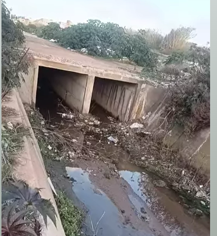 Capture d’écran 2025-12-24 110306