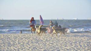 h2yyL9LXSc59UVPlAg6xmT59KpGwrDT585KSy4dz