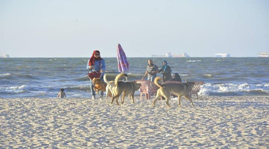 h2yyL9LXSc59UVPlAg6xmT59KpGwrDT585KSy4dz