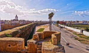 jdi.cite_.port_-780x470-1