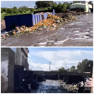 photo-collage.png (48)