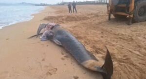 607714715_1408385307339141_3091180352595532540_n