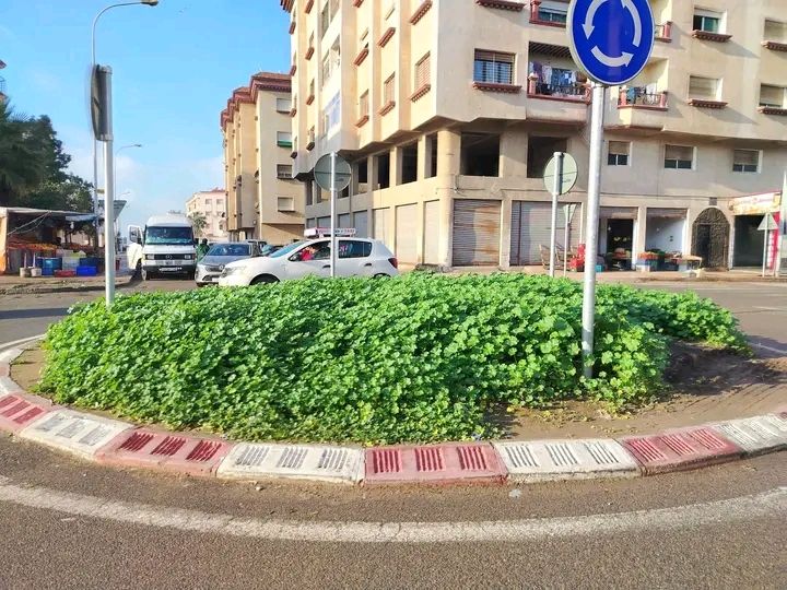 608887472_1180043507649051_297592146588572072_n