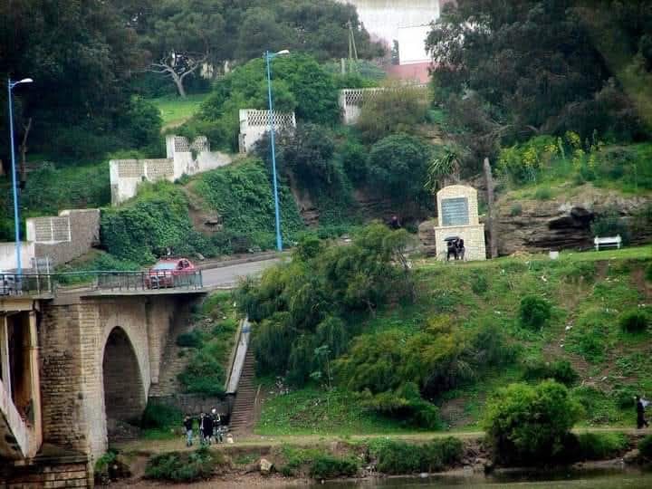 611131993_122241411194252917_80843813291940389_n