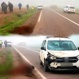 613758232_1414921043352234_3895238675658374818_n