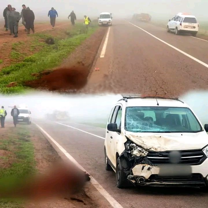 613758232_1414921043352234_3895238675658374818_n