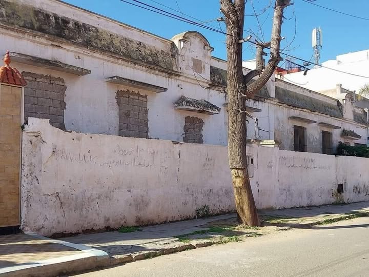 616400846_1375096331327756_8273404746232502354_n