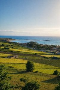 616811465_122185256240445367_799927608479935054_n