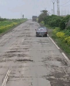 622126962_122175343934795347_2981175750387145834_n