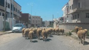 625258941_1388430199994369_7501928290647334673_n