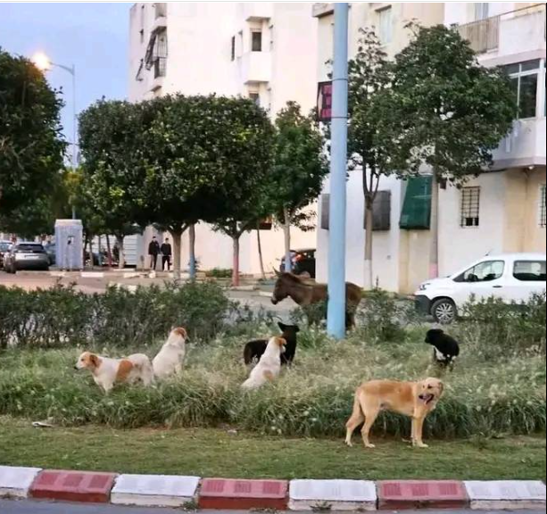 Capture d’écran 2026-01-03 120120