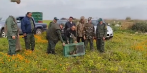 Capture d’écran 2026-01-22 104846