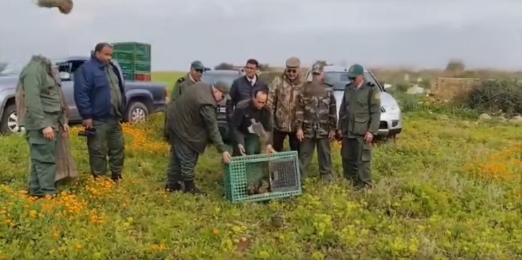 Capture d’écran 2026-01-22 104846