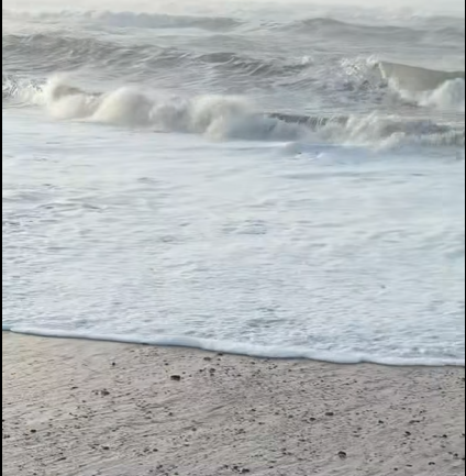 Capture d’écran 2026-01-24 111235