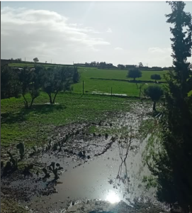 Capture d’écran 2026-01-24 112915