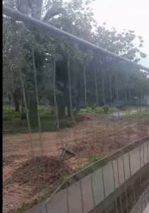 Capture d’écran 2026-01-30 114027