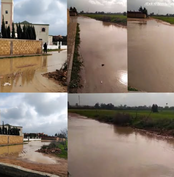 Capture d’écran 2026-01-31 113416