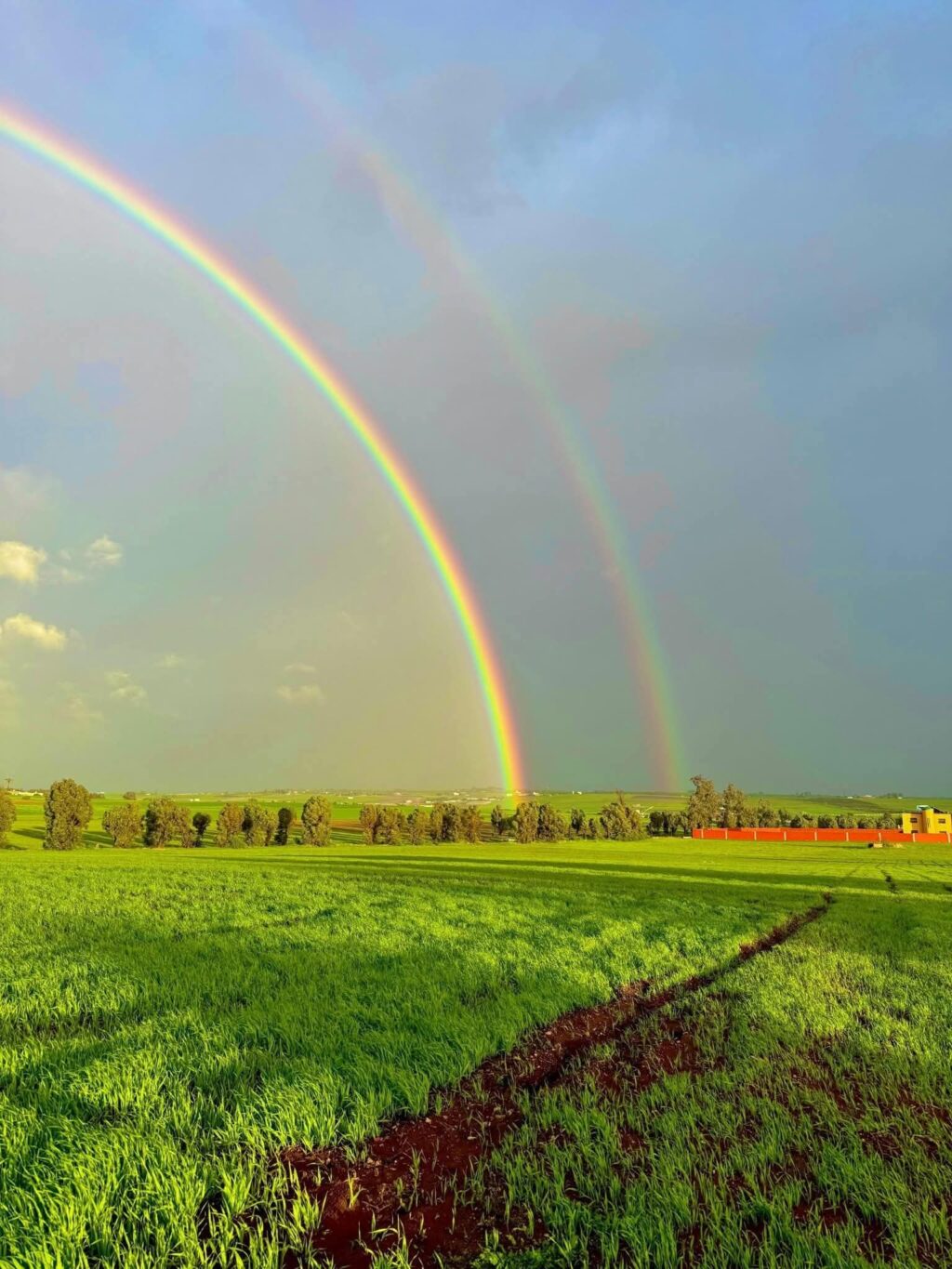 FB_IMG_1767533283299