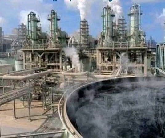 FB_IMG_1767957134605