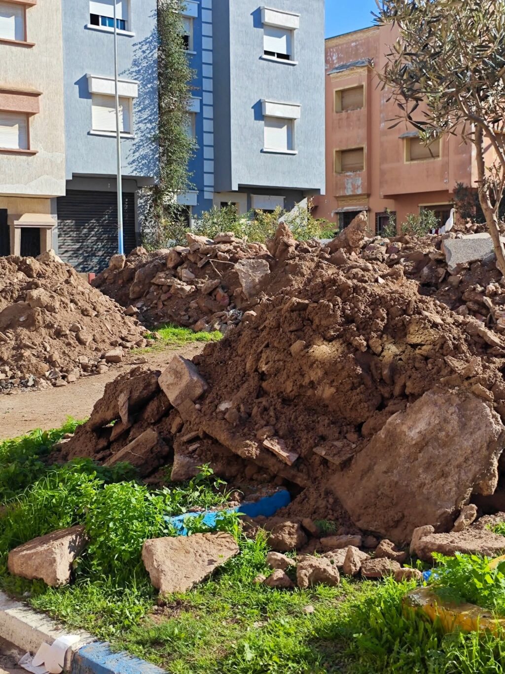 FB_IMG_1768294012714