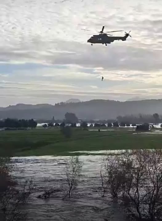 625894462_1430736701834131_749972693295785435_n