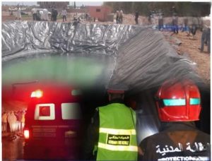 630696337_122155485470722754_4608462420288903615_n