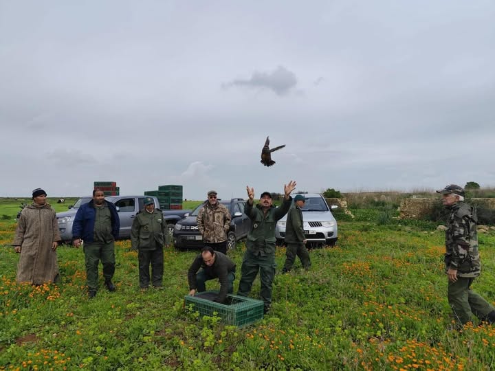 636878050_1400626631861354_8962821233142825677_n