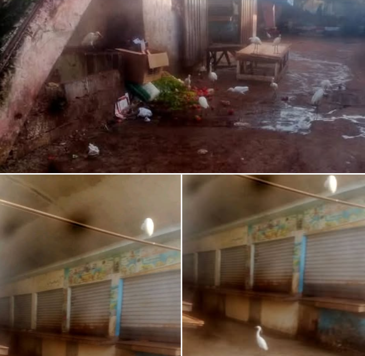 Capture d’écran 2026-02-02 120551