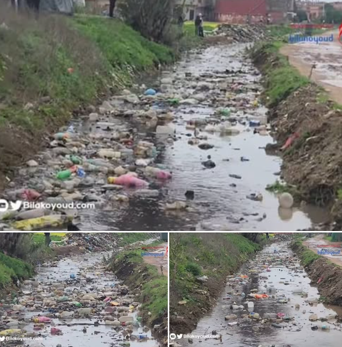 Capture d’écran 2026-02-04 105243