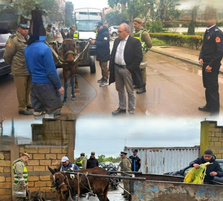 Capture d’écran 2026-02-05 111837