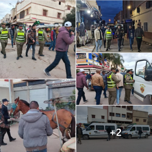 Capture d’écran 2026-02-08 103025