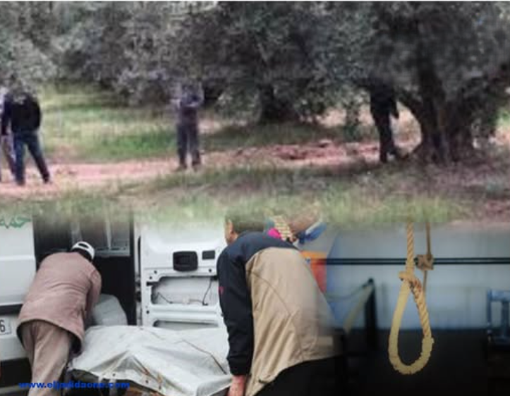 Capture d’écran 2026-02-10 114036