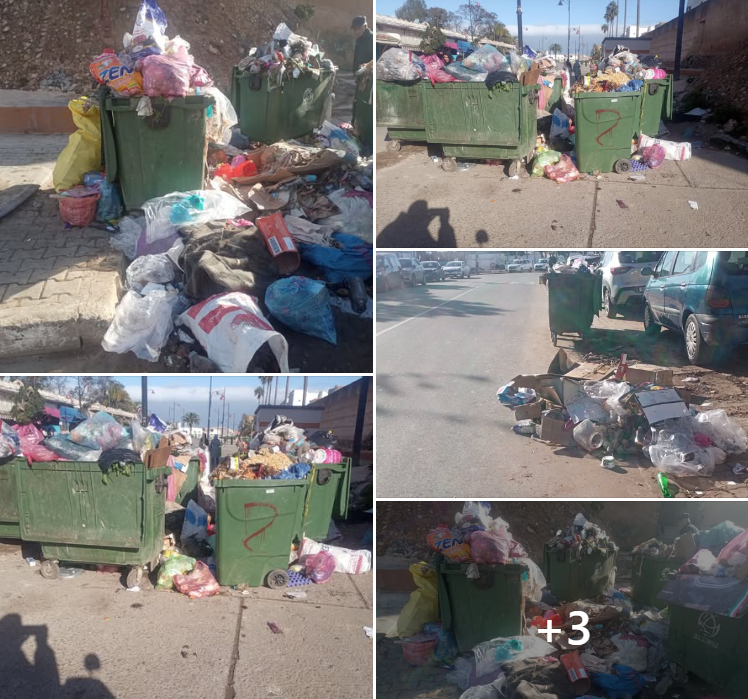 Capture d’écran 2026-02-13 115546