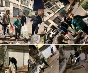 Capture d’écran 2026-02-19 113114