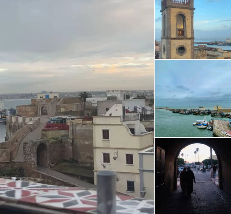 Capture d’écran 2026-02-19 115647