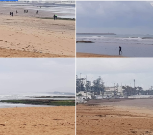 Capture d’écran 2026-02-26 121709