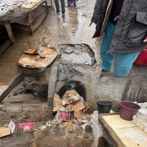 645288410_1546986060762619_2452288396902165880_n