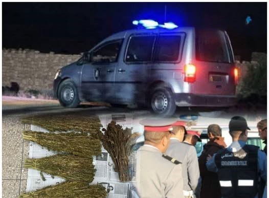 648924811_122158083038722754_1268490562470410271_n