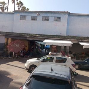 661462520_1403429095156895_3480415653285223393_n