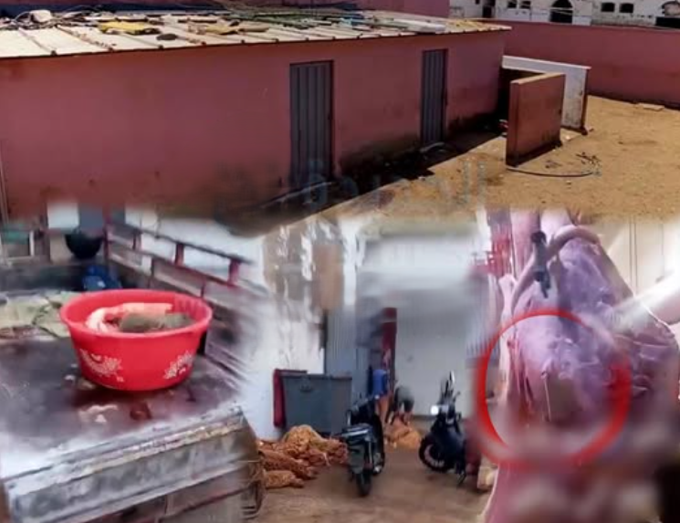 Capture d’écran 2026-03-01 115731